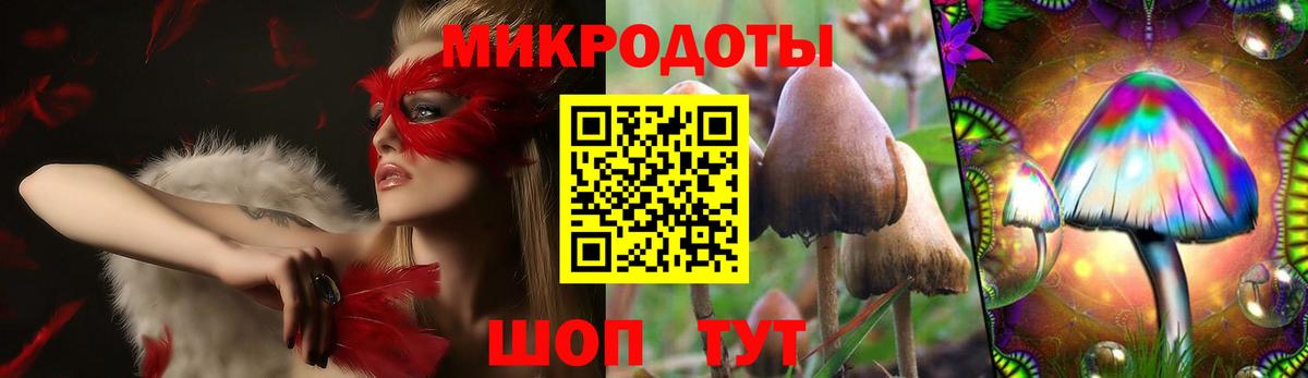 Черняховск  Псилоцибиновые грибы GOLDEN TEACHER  Вход с VPN 