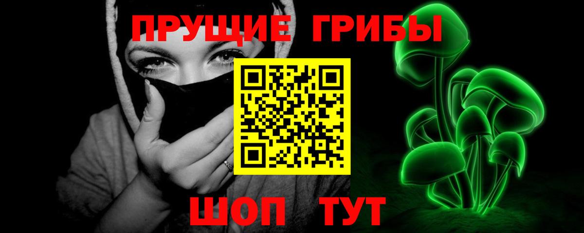 Псилоцибиновые грибы MAGIC MUSHROOMS Черняховск